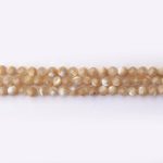 Natural Cream Yellow Shell 4mm Round Faceted