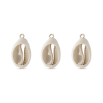 Cream Gold Edge Natural Cowrie Shell Charm - 14×23mm - Image 2