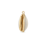 Cream Gold Edge Natural Cowrie Shell Charm - 14×23mm