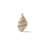 Cream Gold Edge Natural Spiral Shell Charm - 11×19mm