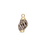 Black Gold Edge Natural Spiral Shell Charm - 9×17mm - Image 2